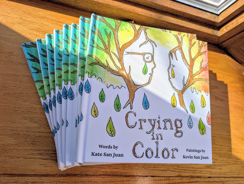 Crying in Color hardcover book cover
